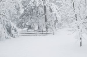 UPDATE: gemeente Gennep